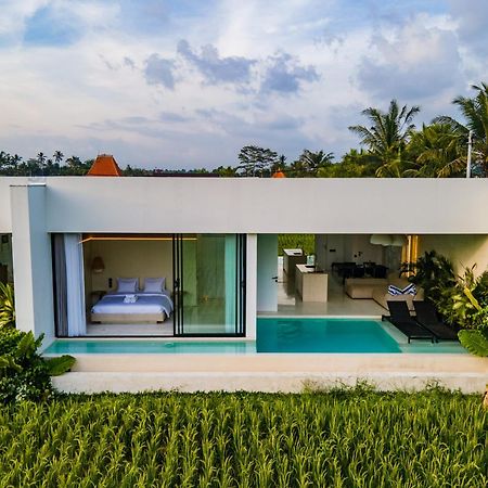 Green Flow Ubud Villas III Экстерьер фото