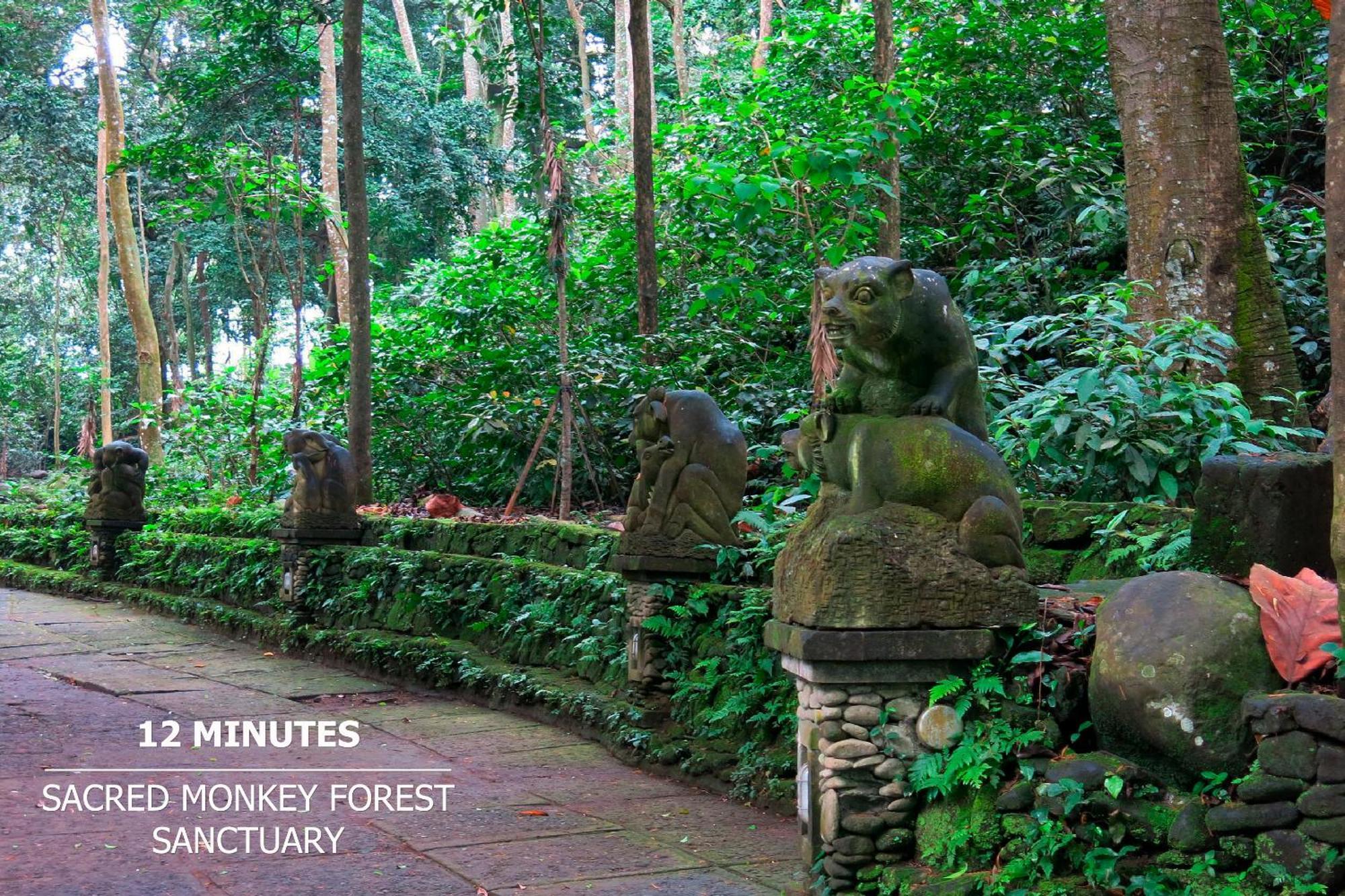 Green Flow Ubud Villas III Экстерьер фото