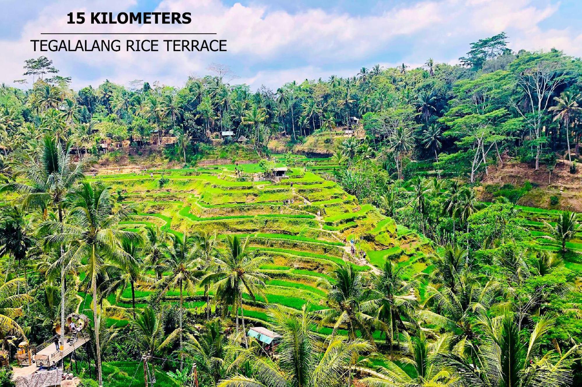Green Flow Ubud Villas III Экстерьер фото