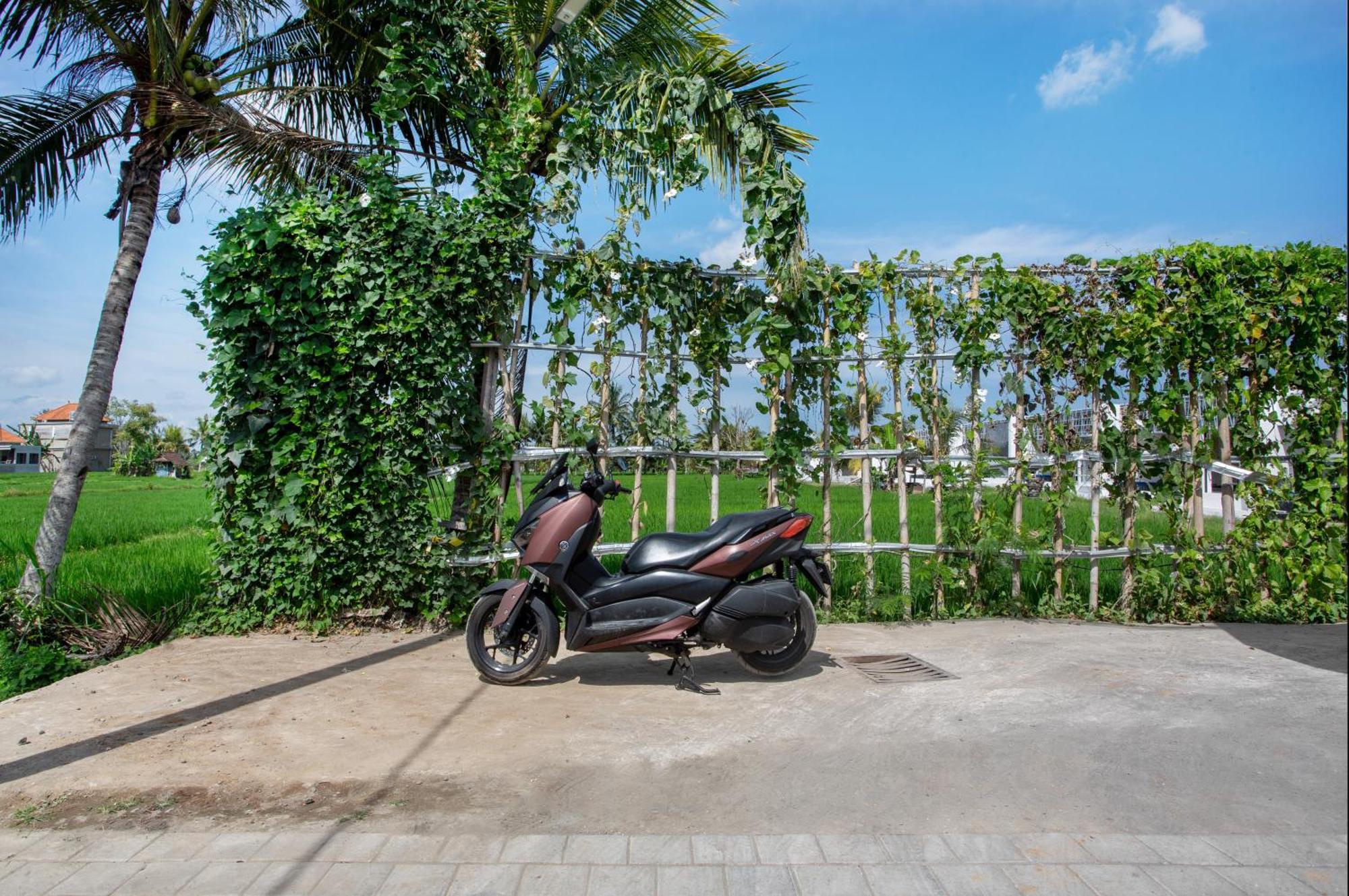 Green Flow Ubud Villas III Номер фото