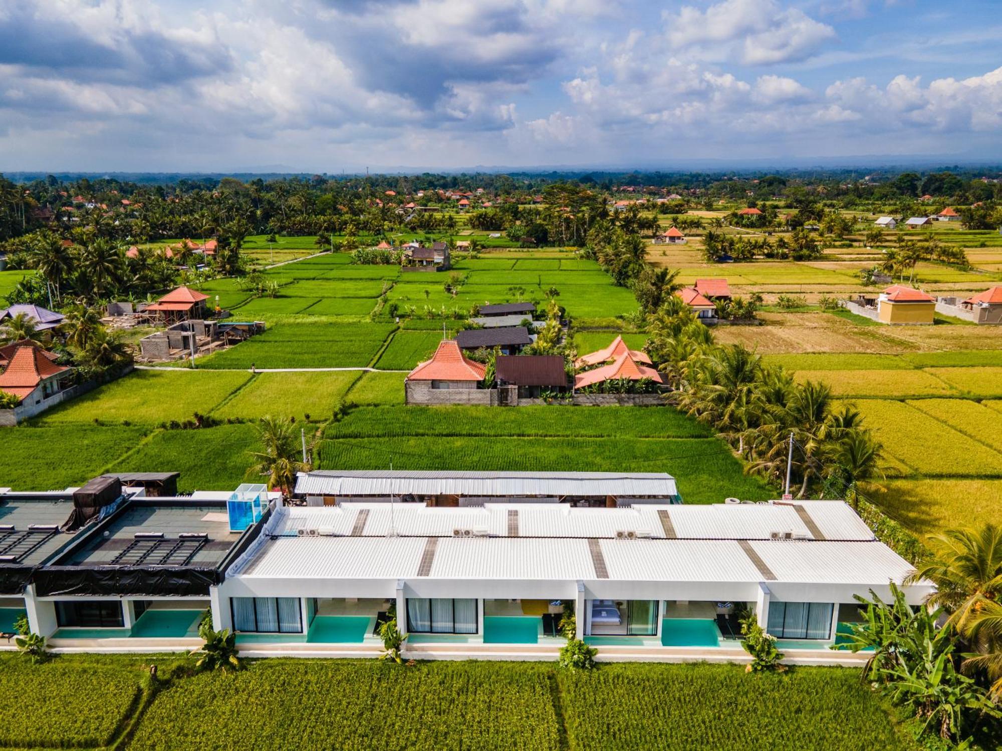 Green Flow Ubud Villas III Номер фото